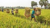 টেকসই কৃষির জন্য ৭ হাজার কোটি টাকার প্রকল্প