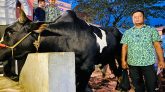 নোয়াখালীর কোরবানির হাট কাঁপাচ্ছে ২০ মনের ‘টাইটানিক’, ৪ লাখ টাকা বিক্রির আশা