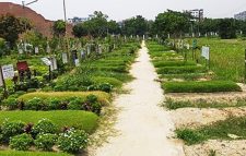 গণকবর দেয়া জুলাই শহিদ ১১৪ জনের লাশ উত্তোলনের নির্দেশ