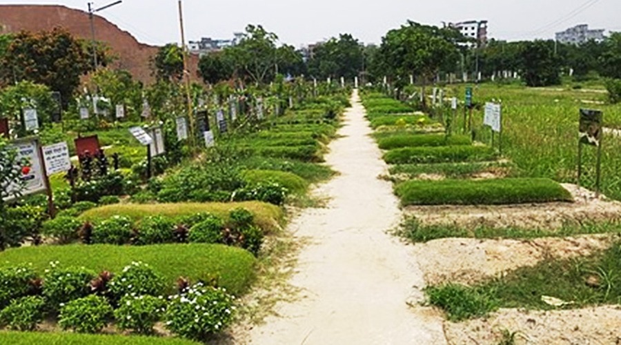 গণকবর দেয়া জুলাই শহিদ ১১৪ জনের লাশ উত্তোলনের নির্দেশ